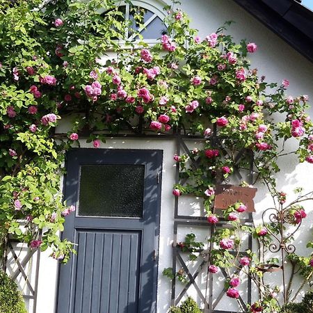 Tina'S Home Gütersloh Eksteriør billede