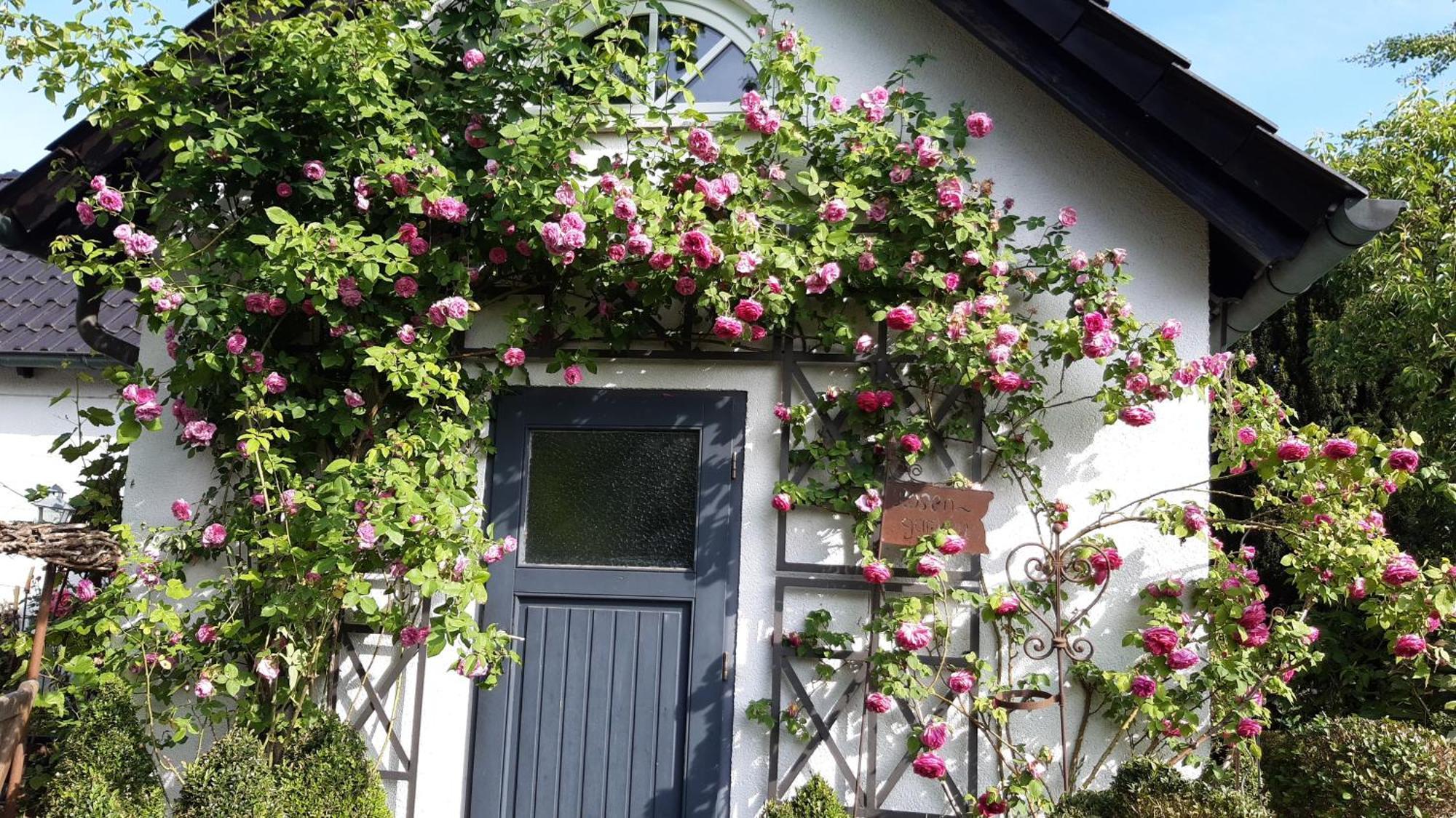 Tina'S Home Gütersloh Eksteriør billede